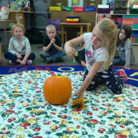 Pumpkins