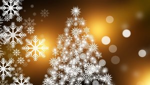 Family Update 12/23